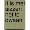 It is mei sizzen net te dwaan door Nynke Anna Varkevisser