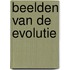 Beelden van de evolutie