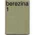 Berezina 1
