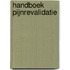 Handboek pijnrevalidatie