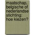 Maatschap, Belgische of Nederlandse stichting: hoe kiezen?