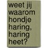 Weet jij waarom hondje Haring, haring heet?
