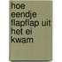 Hoe eendje FlapFlap uit het ei kwam