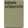 Bijbels onderricht by Unknown