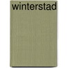 Winterstad by Fgm Berendse