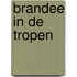 Brandee in de tropen