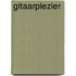 Gitaarplezier