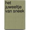 Het juweeltje van Sneek door Wibe Steenaart