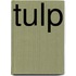 Tulp