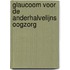 Glaucoom voor de anderhalvelijns oogzorg