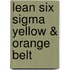 Lean Six Sigma Yellow & Orange Belt