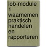 LOB-module 1 Waarnemen praktisch handelen en rapporteren by H.M.B. Cuber