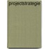 Projectstrategie