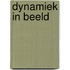 Dynamiek in beeld