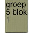 groep 5 blok 1