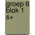 Groep 6 blok 1 S+