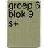 Groep 6 blok 9 S+