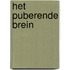 Het puberende brein