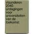 Vlaanderen 2040. Uitdagingen voor universiteiten van de toekomst