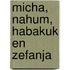 Micha, Nahum, Habakuk en Zefanja