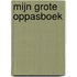 MIJN GROTE OPPASBOEK