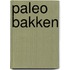Paleo bakken