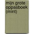 MIJN GROTE OPPASBOEK (MINT)
