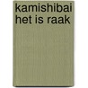 Kamishibai Het is raak door Edward van de Vendel