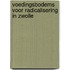 Voedingsbodems voor radicalisering in Zwolle