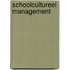 Schoolcultureel management