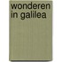 Wonderen in Galilea