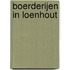 Boerderijen in Loenhout