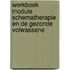 Werkboek module Schematherapie en de Gezonde volwassene
