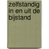 Zelfstandig in en uit de bijstand