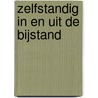 Zelfstandig in en uit de bijstand door Robert Scholte