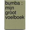Bumba : Mijn groot voelboek by Gert Verhulst