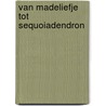 Van madeliefje tot sequoiadendron by Eddy Avanture