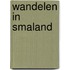 Wandelen in Smaland