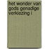 Het wonder van Gods genadige verkiezing I