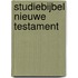 Studiebijbel nieuwe testament