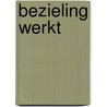 Bezieling werkt door Hans Wopereis