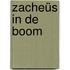 Zacheüs in de boom