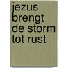 Jezus brengt de storm tot rust by Unknown