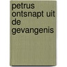 Petrus ontsnapt uit de gevangenis door Onbekend