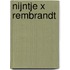nijntje x rembrandt
