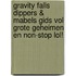 Gravity Falls Dippers & Mabels gids vol Grote Geheimen en non-stop LOL!