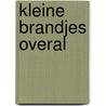 Kleine brandjes overal door Celeste Ng