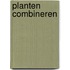 Planten combineren