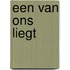 Een van ons liegt