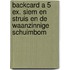Backcard a 5 ex. Siem en Struis en De Waanzinnige Schuimbom